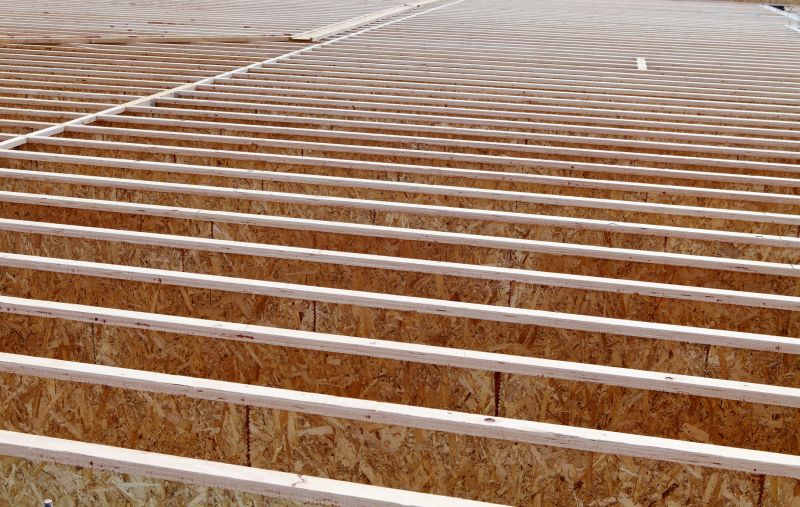 Professional assessment of damaged joists